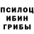 Псилоцибиновые грибы Magic Shrooms Omer Karamuk