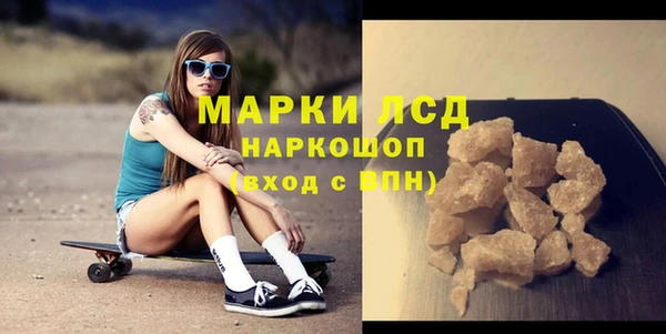 прущие грибы Магас