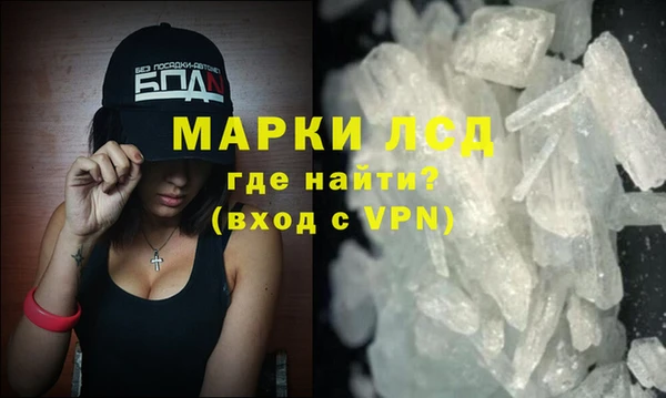 прущие грибы Магас