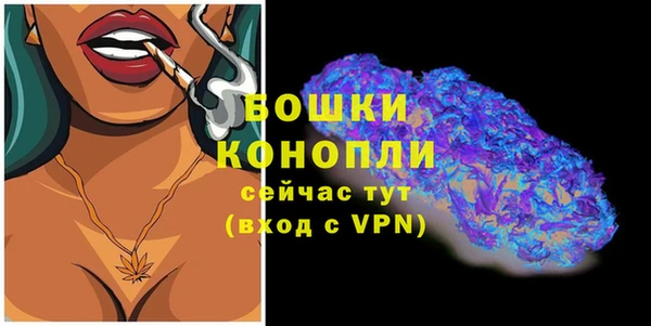 прущие грибы Магас