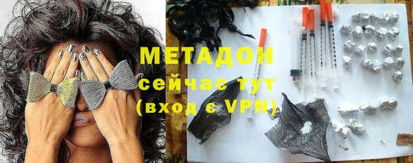 прущие грибы Магас