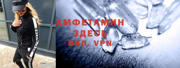 амф Щигры